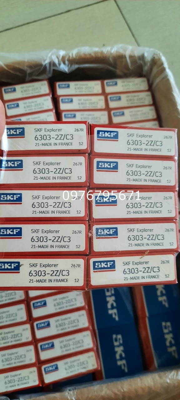 Bạc đạn SKF 6303-vòng bi 6303